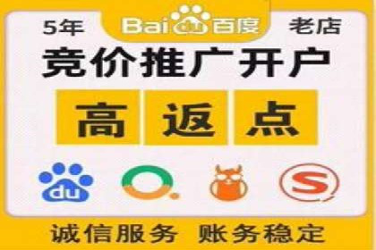 搜索引擎营销（SEM）中竞价员的角色与案例